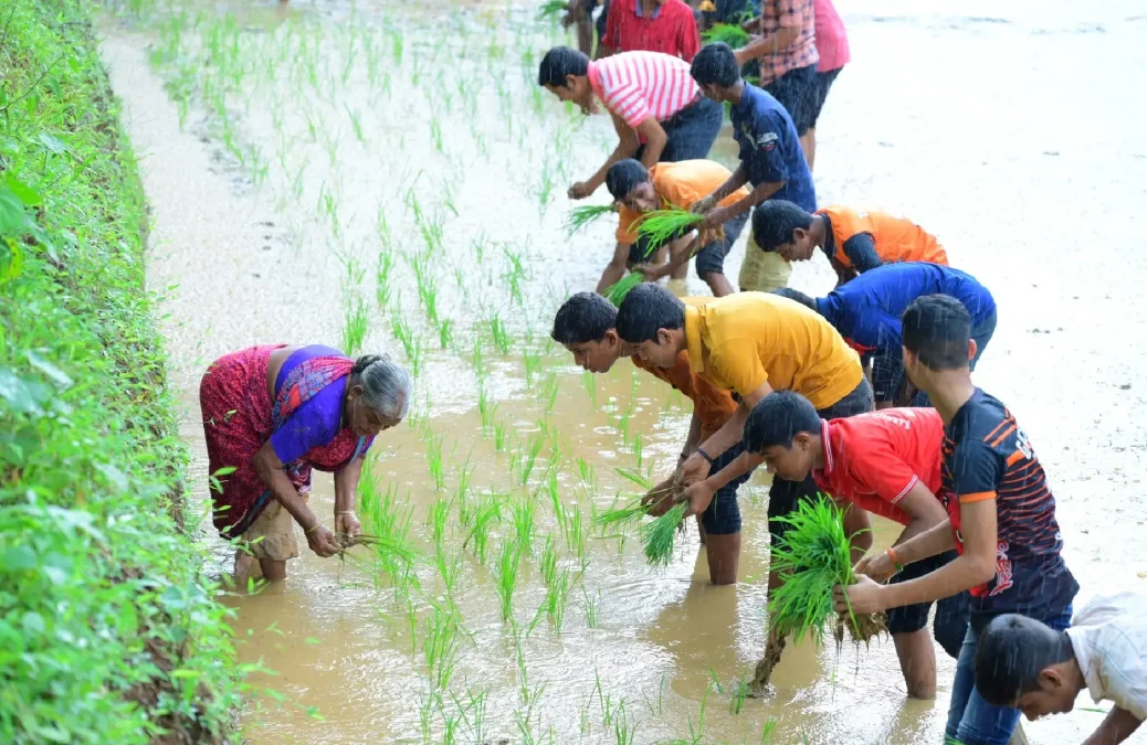 Agriculture lessons