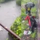 Child washed away in drain