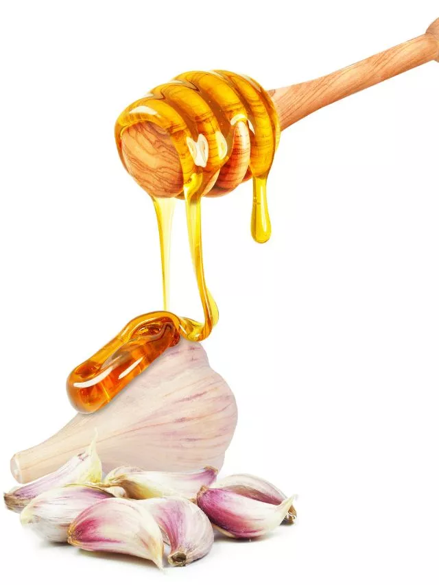 Garlic And Honey Health Benefits: ಆರೋಗ್ಯ ಸುಧಾರಣೆಗೆ ಬೆಳ್ಳುಳ್ಳಿ ಮತ್ತು ಜೇನುತುಪ್ಪದ ಮಿಶ್ರಣ ಸೂಕ್ತ