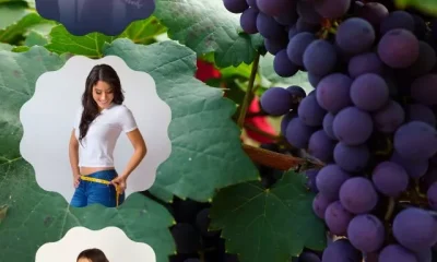 images of Benefits Of Black Grapes