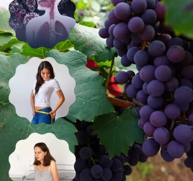 images of Benefits Of Black Grapes