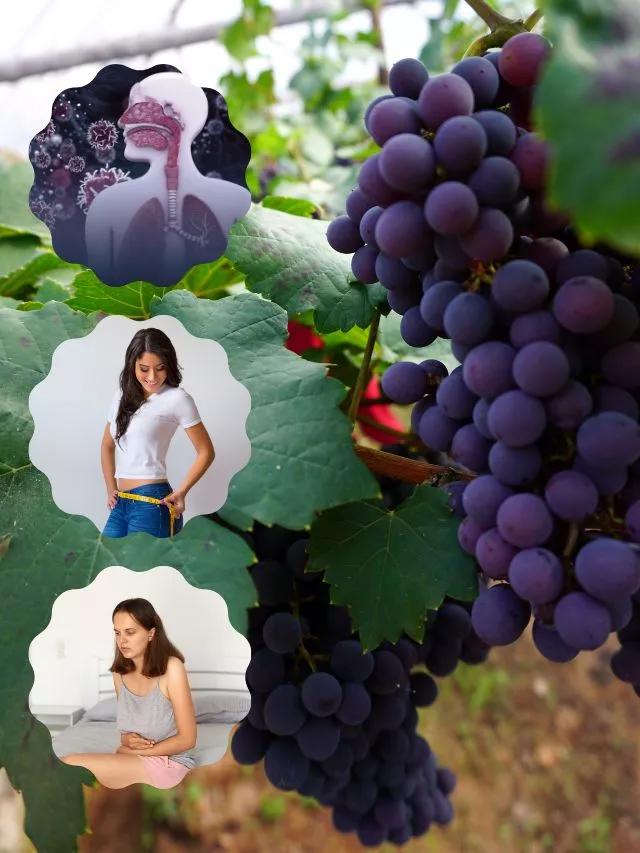 Benefits Of Black Grapes: ಕಪ್ಪು ದ್ರಾಕ್ಷಿ ತಿಂದರೆ ಎಷ್ಟೊಂದು ಲಾಭ!