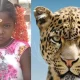 Girl dies of leopard attack