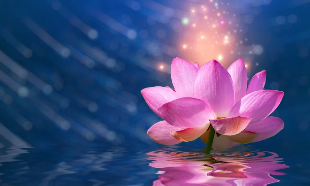 lotus flower meaning spiritual