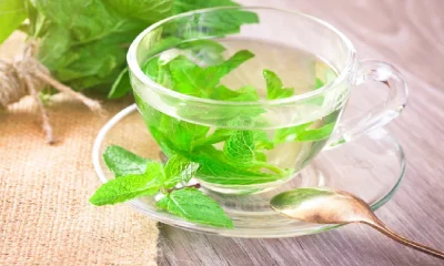 mint leaves