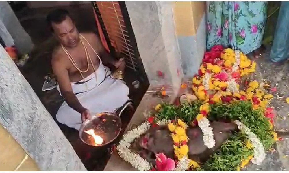 Monkey death in temple at anekal