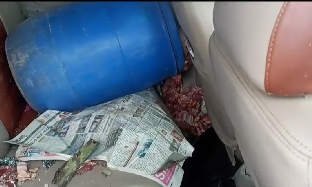 Road Accident when found Cow Slaughter