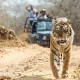 10 prominent tiger reserves in India
