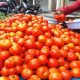 Tomato Price heavily come down and settled at RS 2 KG