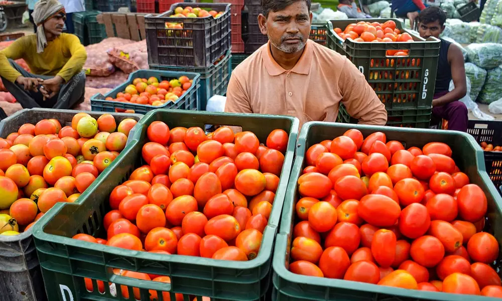 Tomato in market