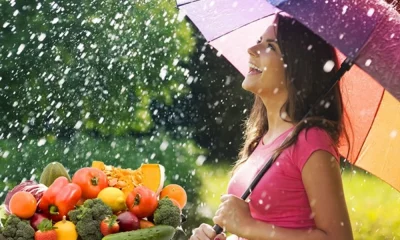 veg in monsoon