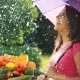veg in monsoon