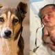 stray dog saves newborn baby
