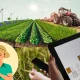 Aggriculture activity and APP