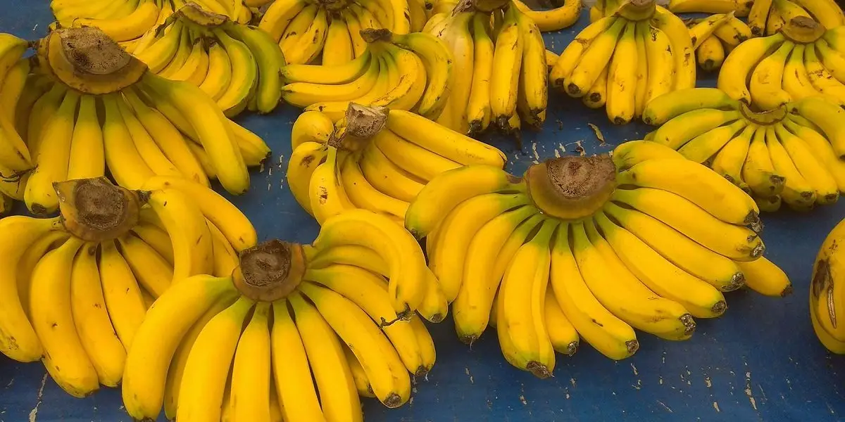 Banana rate