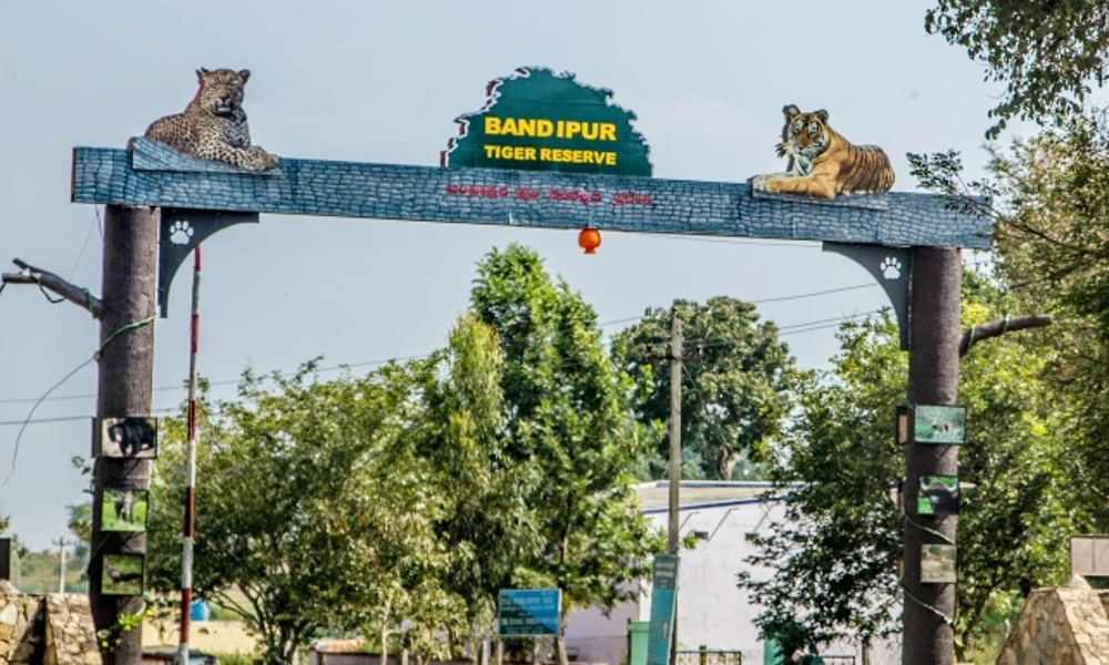 Bandipur National Park Entrance
