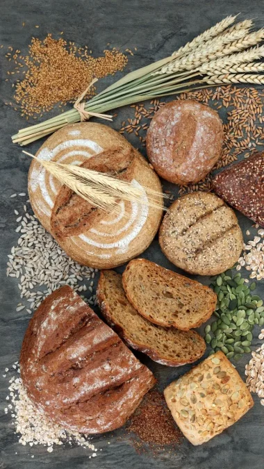 Dietary Fiber Bread Health Benefits Whole grain bread is rich in dietary fiber, which aids in digestion, helps maintain bowel regularity, and can contribute to a feeling of fullness, potentially aiding in weight management.
