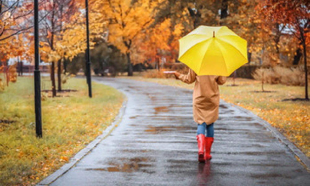 women with umbrella walking in road