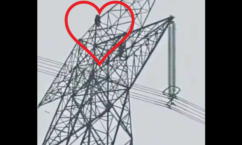 Girl Climbs Electric Tower