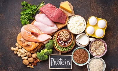 High Protein Foods