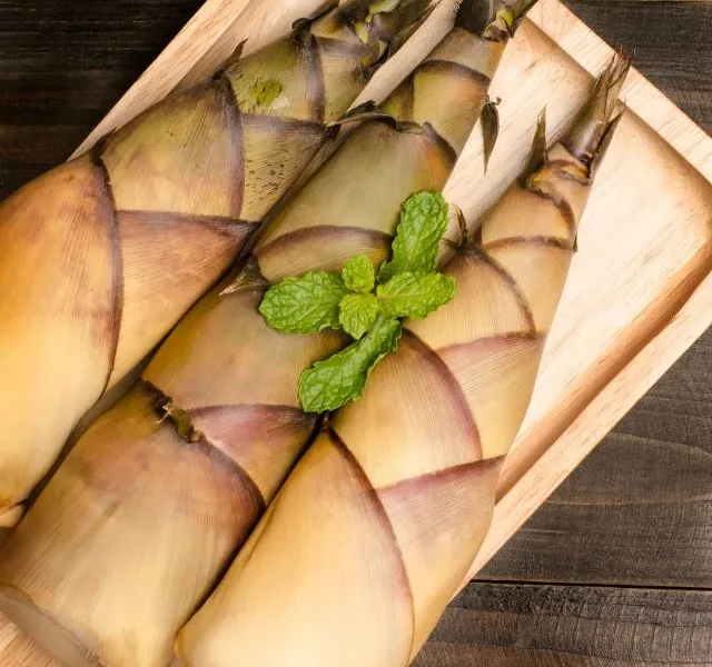 Image Of Bamboo Shoots Benefits