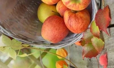 Image Of Weight Loss Fruits