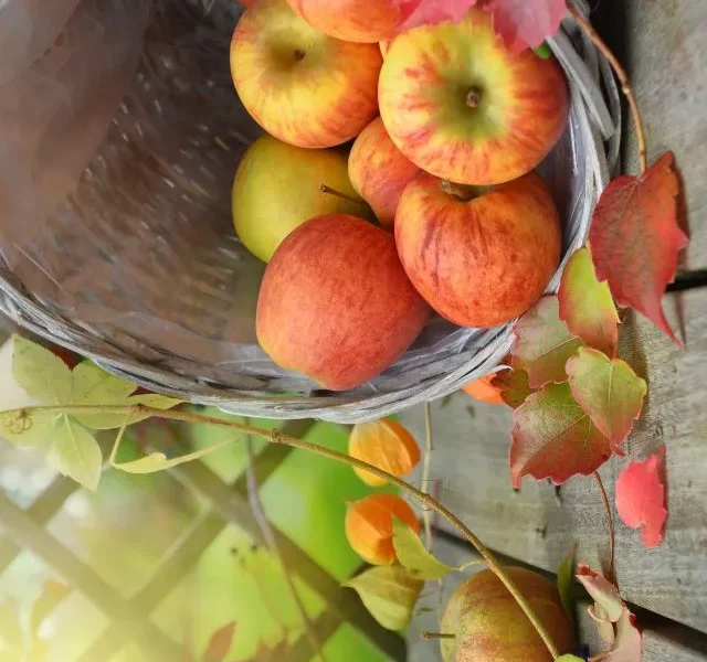 Image Of Weight Loss Fruits