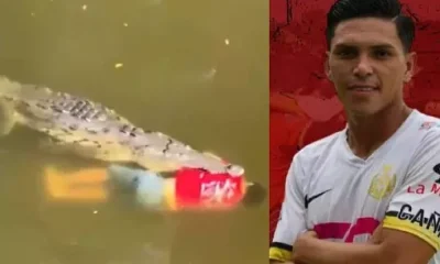 Jesus Alberto: Football player who was victim of crocodile attack; Horrible video viral