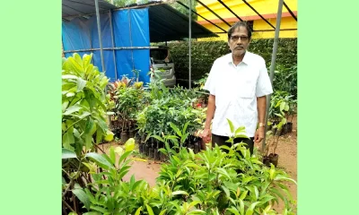 Krishi Bharati Nursery in Shirasi famous for horticultural plants seeds agriculture