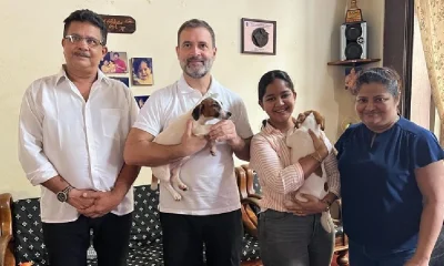 Rahul Gandhi Brings Puppy Home