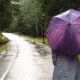 woman with a purple umbrella walks in