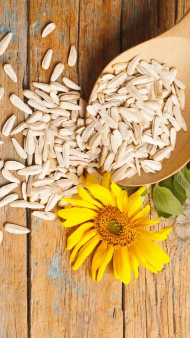 Sunflower seed Zinc Foods It also provides protein, minerals and antioxidants along with zinc