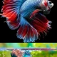 stylish fish