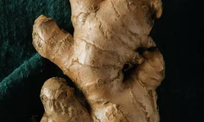 iamges of Benefits Of Eating Ginger