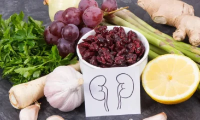 kidney health foods
