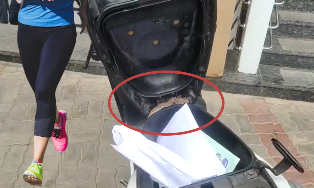 snake found in Scooter women running to fear