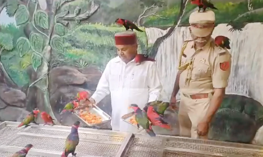 Governor Thawar chand gehlot feeds birds
