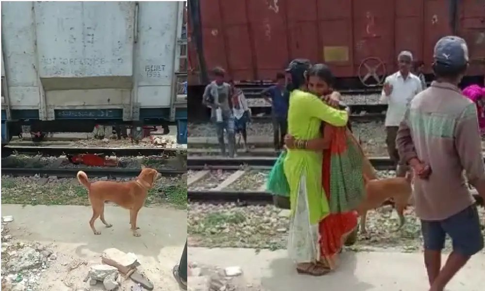 woman trapped under train and a dogs curiocity