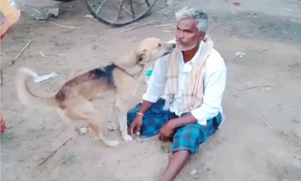 A dog consoling a crying owner
