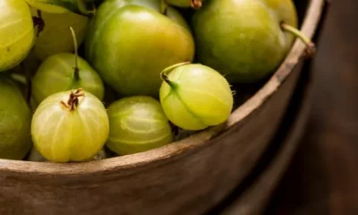 Gooseberry Benefits