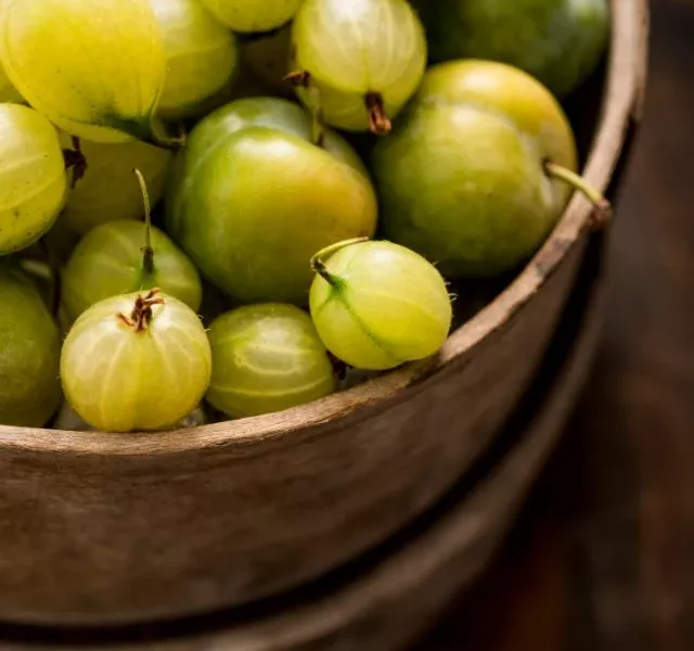 Gooseberry Benefits