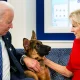 US President Joe Biden pet German Shepherd dog bites secret service agent