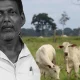 Cow slaughter Bynduru