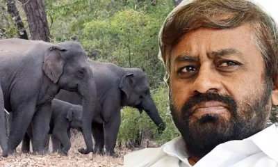 Elephant and Eshwar Khandre