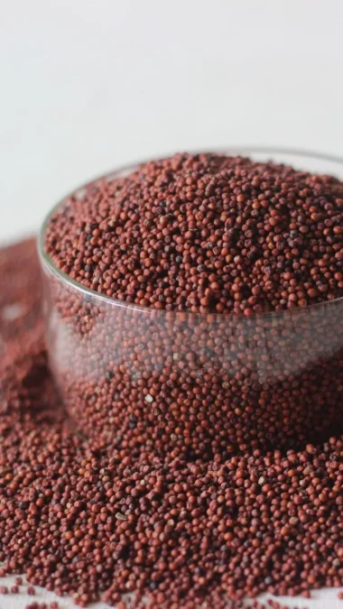 Eleusine coracana grain or finger millet also known as ragi in India kodo in Nepal Millet Benefits