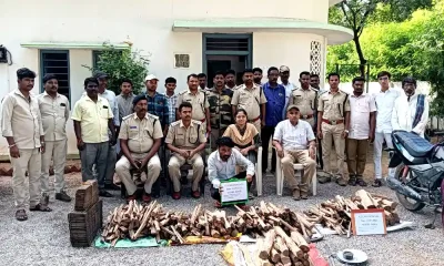Yadgiri News Illegal transport of sandal wood Arrest of the accused