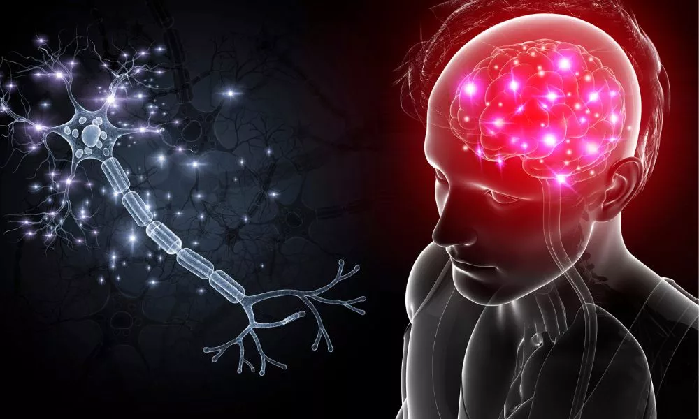 Illustration of a human brain and nerve cells.