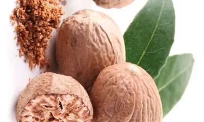 Image Of Benefits Of Nutmeg