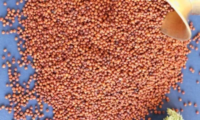 Image Of Millet Benefits