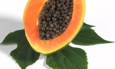 Image Of Papaya Seeds Benefits